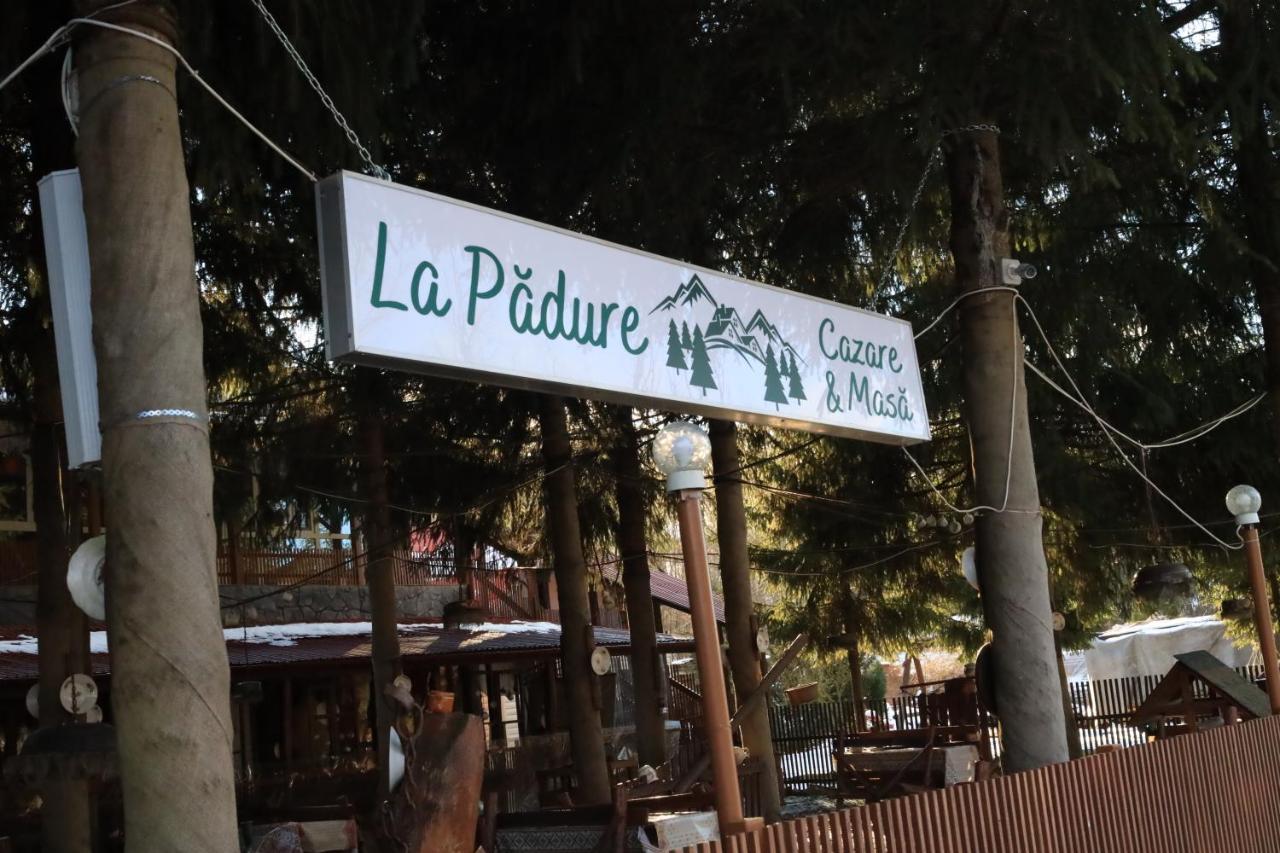 La Padure Brebu (Caras-Severin) Exterior foto