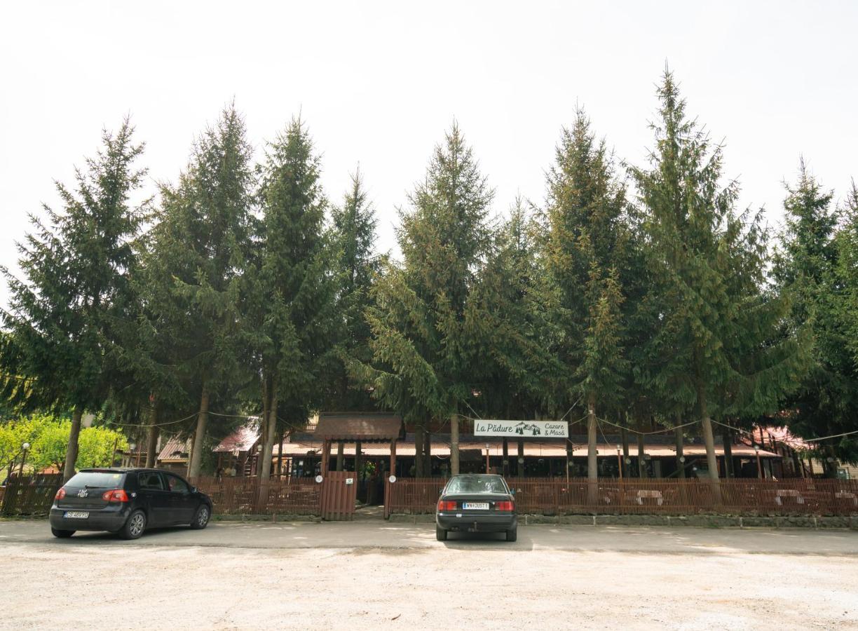 La Padure Brebu (Caras-Severin) Exterior foto